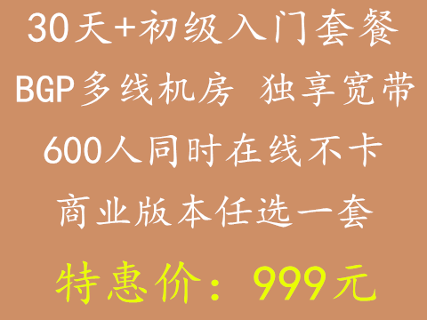 999元-初级入门套餐